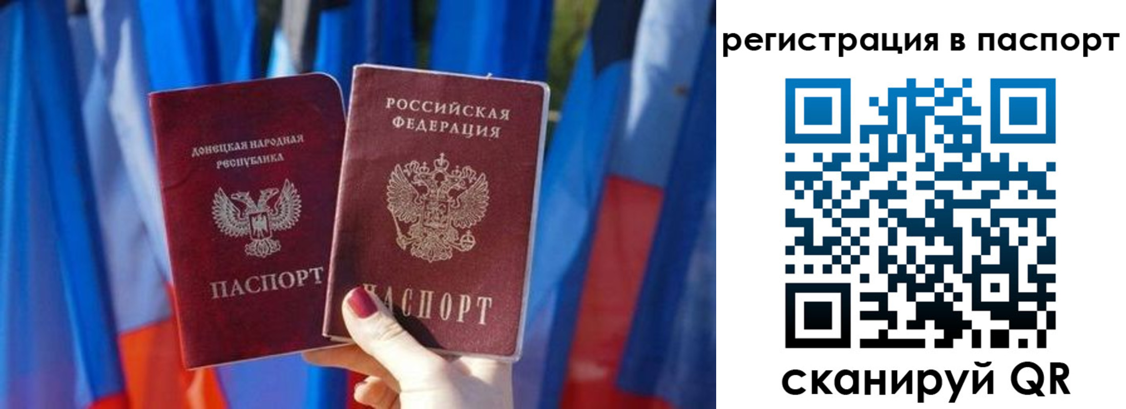 прописка регистрация в Димитровграде